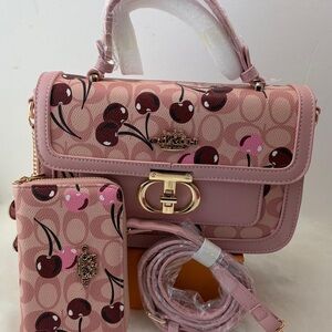 Designer inspired bag & wallet.